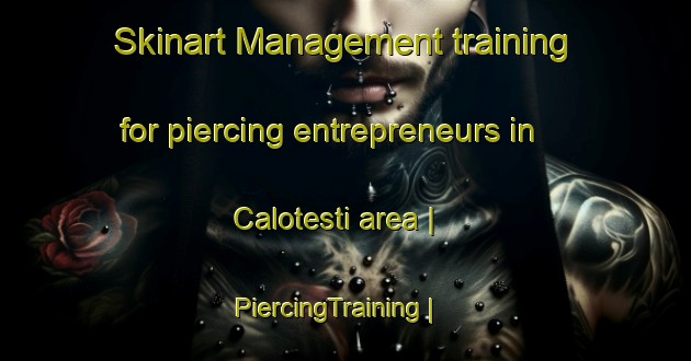 Skinart Management training for piercing entrepreneurs in Calotesti area | PiercingTraining | PiercingClasses | SkinartTraining-Romania
